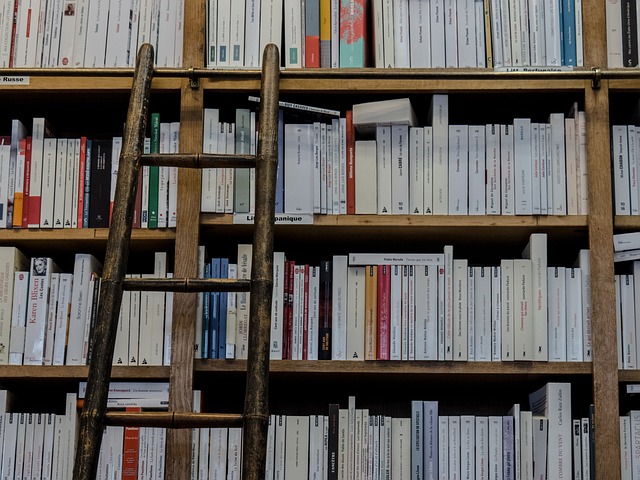 Découvrir aushopping roncq : tout savoir sur les meilleures boutiques et services en 2025