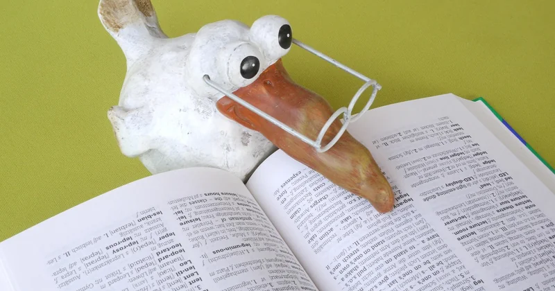 Synonyme et traduction : le petit lexique qui évite les faux pas